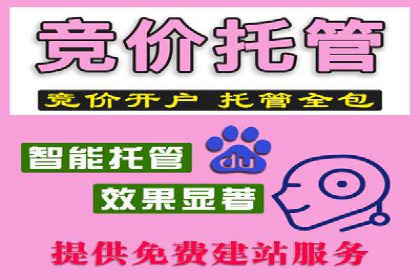 百度竞价公司广告投放技巧及效果展示